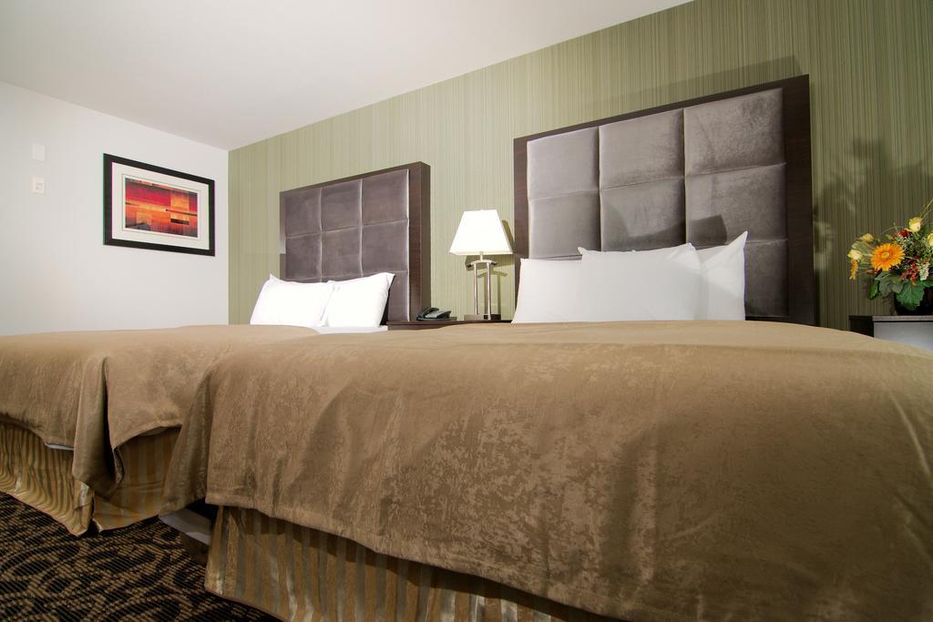 Paradise Inn And Suites Redwater Værelse billede